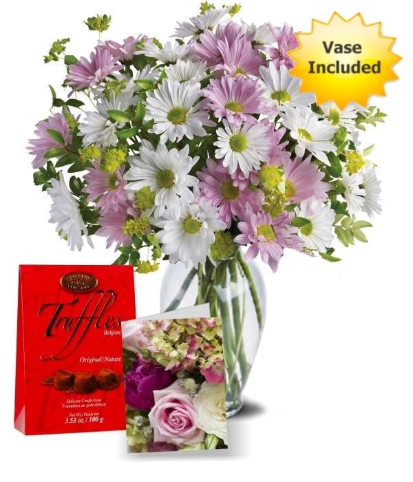 Chrysanthemum Love Collection 3