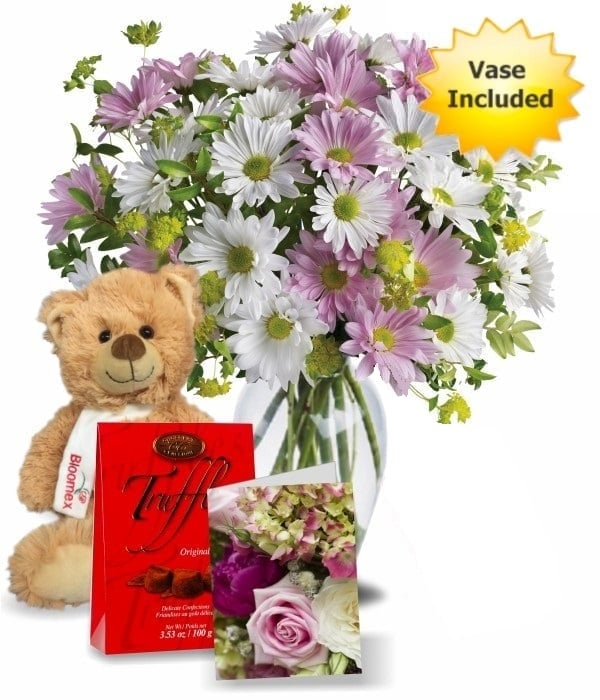 Chrysanthemum Love Collection 4
