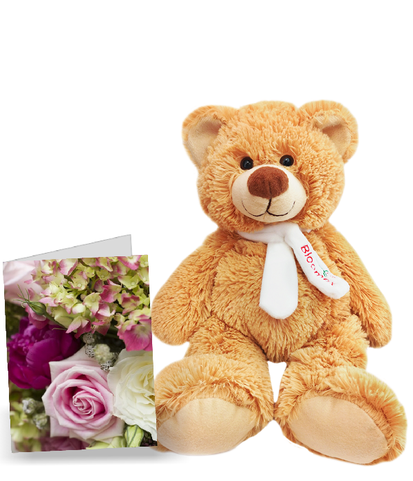 Exclusive Teddy Bear and Greeting Card Gift Set