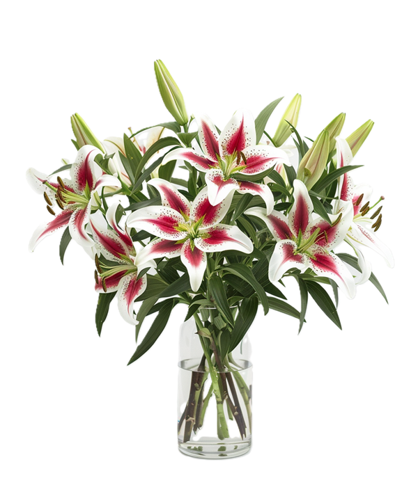 Elegant Floral Arrangement