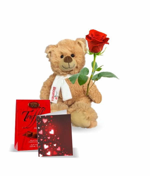 Luxury Rose Teddy Bear Gift Set with Gourmet Truffles and Greeting Card