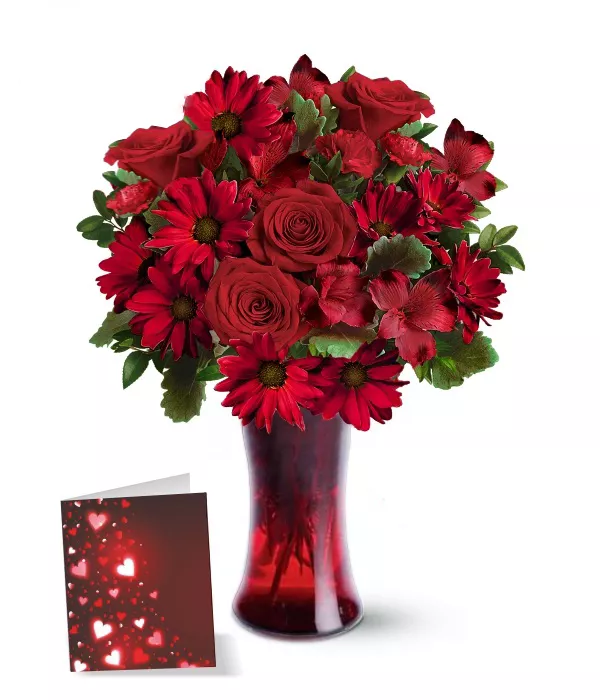Valentine's Day Designer Collection 2: Exclusive Gifts & Fashion